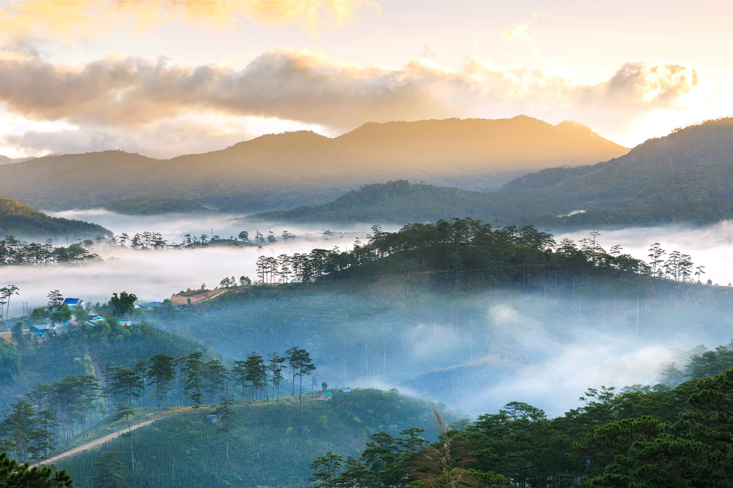 09_Bidoup_Nui_Ba_National_Park[1].webp